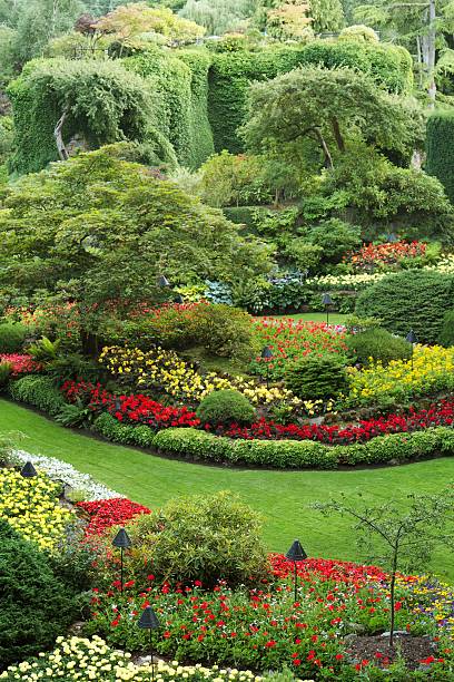 istock Beautiful scenery in Butchart gardens 511624821