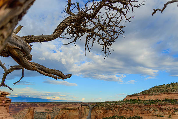 istock Colorado National Monument scenery 511624829