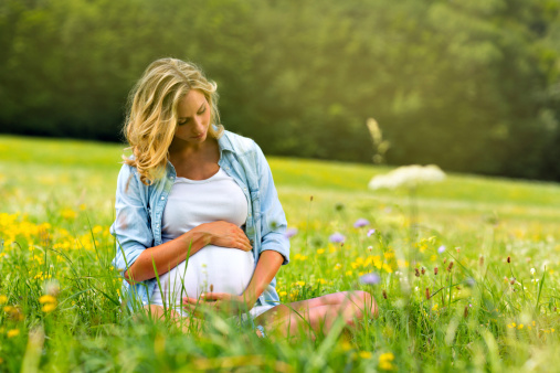beautiful young mother touching her pregnant belly sitting in summer flower meadow