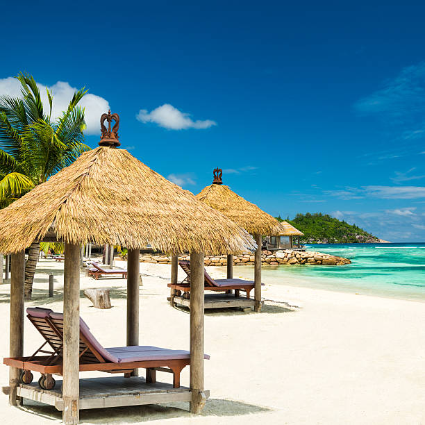 istock beach beds with roof and turquoise sea 511646871
