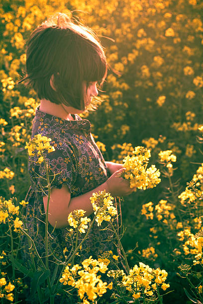 istock little girl rape field bouquet hand 511648077