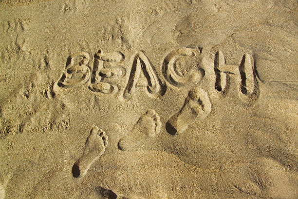 istock footprint in sand at the beach,summer 511648901