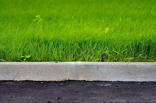 green grass, black asphalt and gray curbstone.  Improvement of the city. selective focus