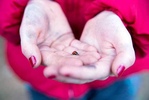istock Ladybird lucky charm in the hand 511650034