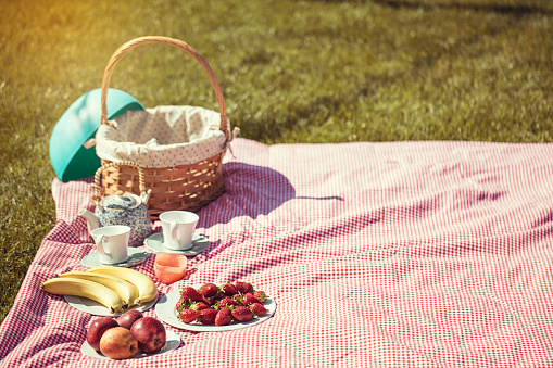 Outdoor picnic