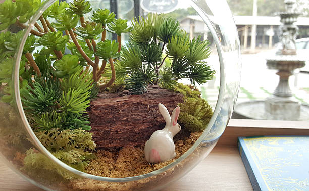 istock Small garden in the glass bowl 511657462