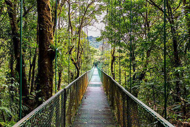 istock Hanging Bridges in Cloudforest - Costa Rica 511658408