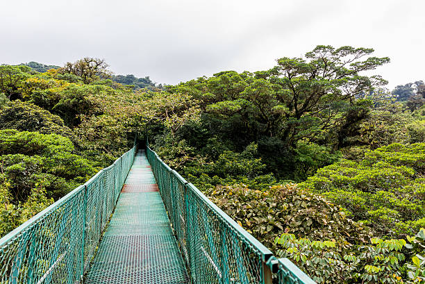 istock Hanging Bridges in Cloudforest - Costa Rica 511659420