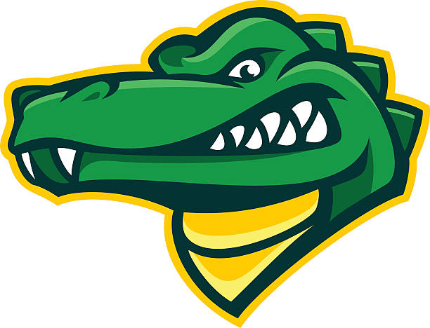 Alligator Mascot Alligator design element that is a great mascot for a sports team. Look at those teeth. Easy to edit and change color. alligator stock illustrations