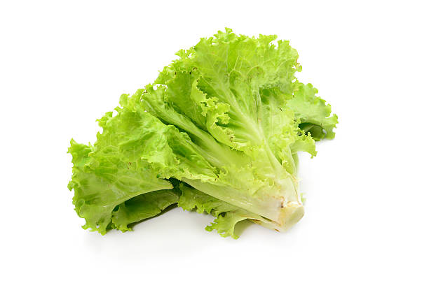 istock Fresh green lettuce isolated on a white background 511660014