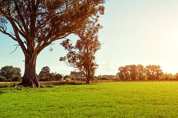 istock beautiful landscape of countryside 511660294
