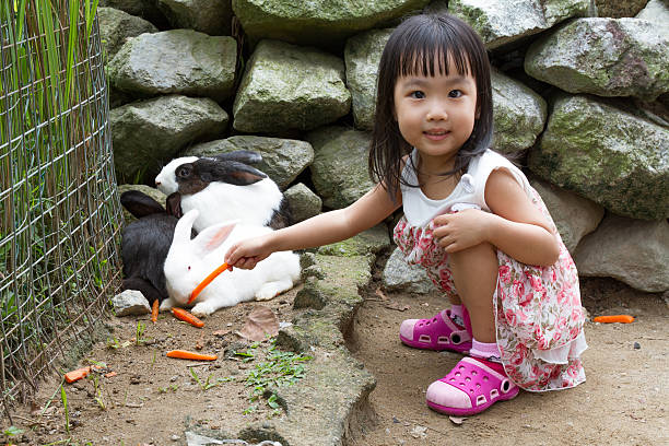 Smiling little girl and with their beloved fluffy rabbit, showcasing the beauty of friendship between humans and animals
