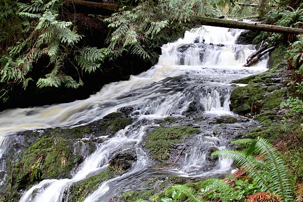 istock Cascades And Waterfall Named Ludlow Falls 511662928