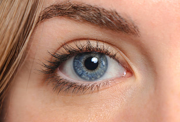 istock Woman eye upclose 511663792