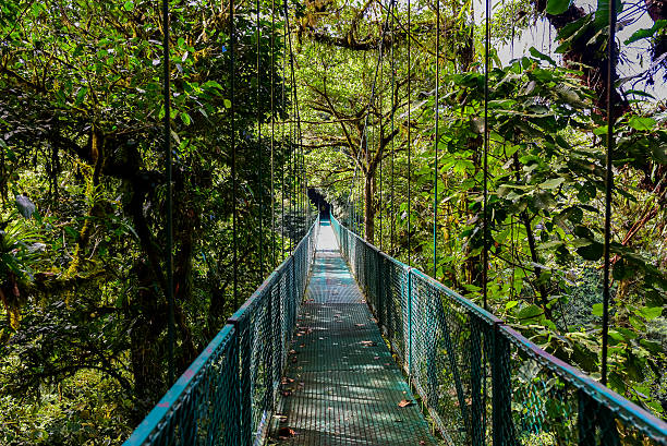 istock Hanging Bridges in Cloudforest - Costa Rica 511663798