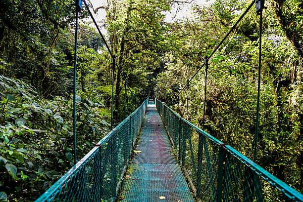 istock Hanging Bridges in Cloudforest - Costa Rica 511664322