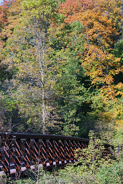 istock Canada: Autumn Colours in the Don Valley 511664678