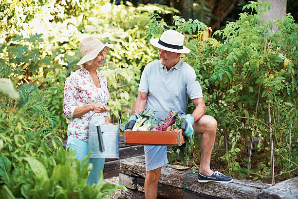 istock Weeds are flowers too, once you get to know them 511665517