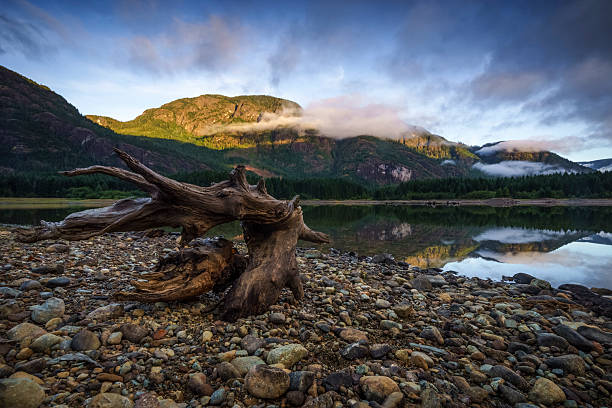 Buttle Lake in Strathcona Park on Vancouver Island