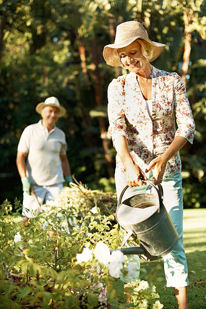 é um dia perfeito para jardinagem! - gardening senior adult action couple imagens e fotografias de stock