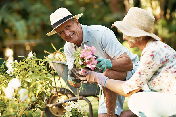 estamos encantados de recibir las manos sucio - gardening senior adult action couple fotografías e imágenes de stock