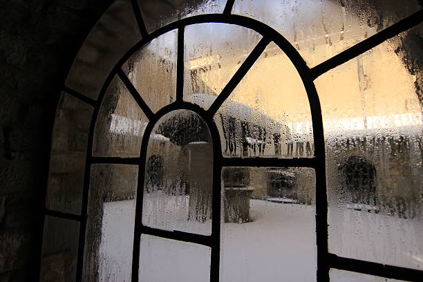 Icey Window 80+ Icey Pattern Stock Photos, Pictures & Royalty-Free Images - iStock
