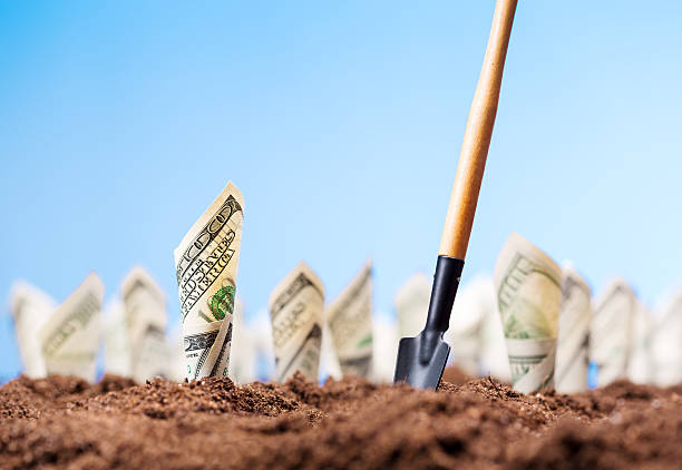 istock American dollars grow from the ground 511667147