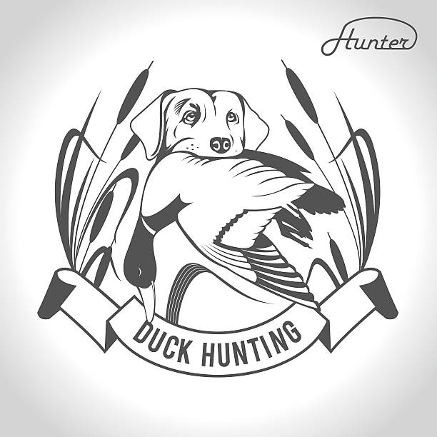 Hunting. Vector illustration. Dog with duck in his mouth. Hunting. Vector illustration. Dog with duck in his mouth. dog pointing stock illustrations