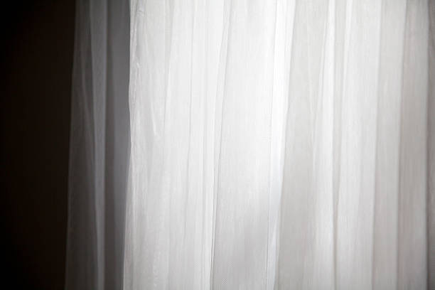 Morning lights with lace curtain