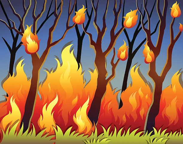 Vector illustration of Trees in forest  fire