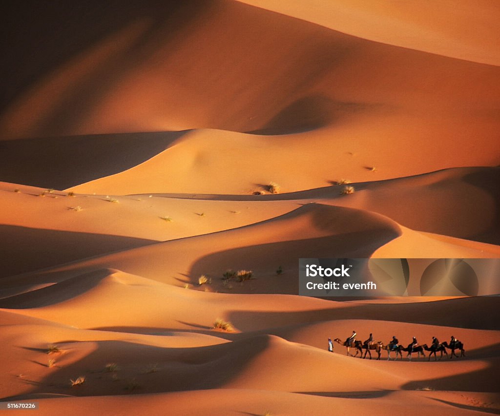 Caravana en el desierto, Merzouga, Marruecos - Foto de stock de Marruecos libre de derechos