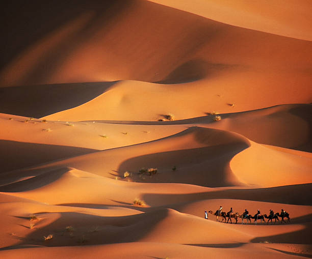 roulotte nel deserto, merzouga, marocco - morocco desert camel africa foto e immagini stock