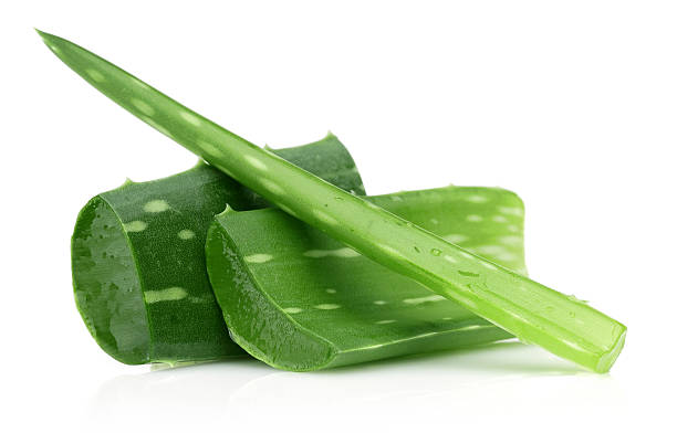 Aloe Vera Plant Aloe Vera on a white background aloe vera gel stock pictures, royalty-free photos & images