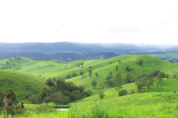 istock Countryside in the Blue Mountains 511670863