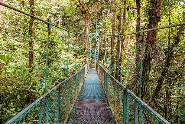 istock Hanging Bridges in Cloudforest - Costa Rica 511671596
