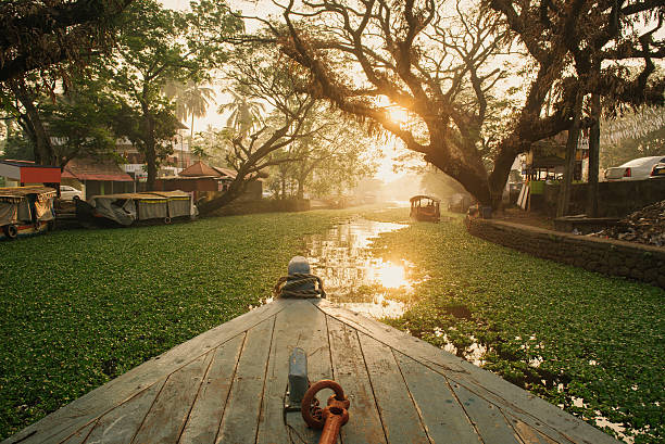 Alleppey backwaters on sunrise stock photo