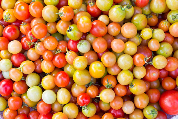 istock red tomatoes background. Group of tomatoes 511673142