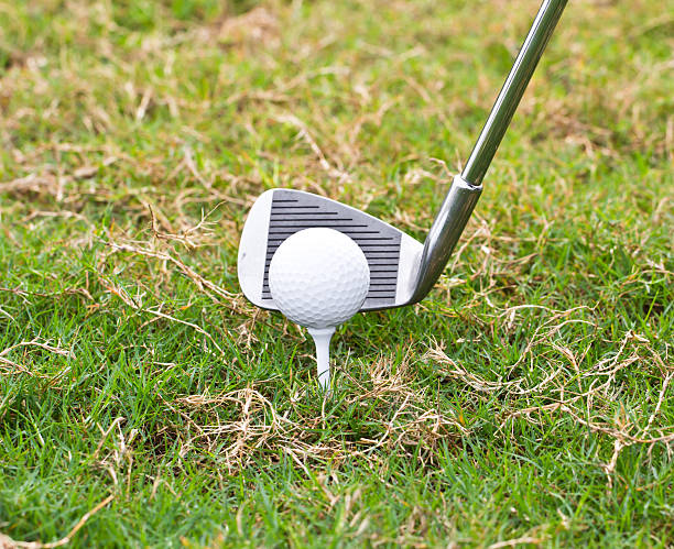 istock Golf ball on tee in front of driver on course 511674088
