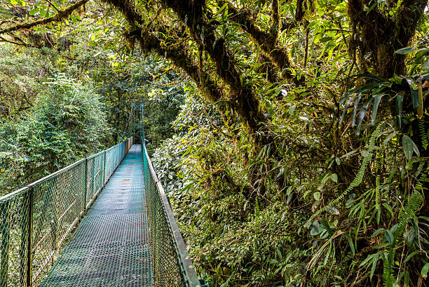 istock Hanging Bridges in Cloudforest - Costa Rica 511675714