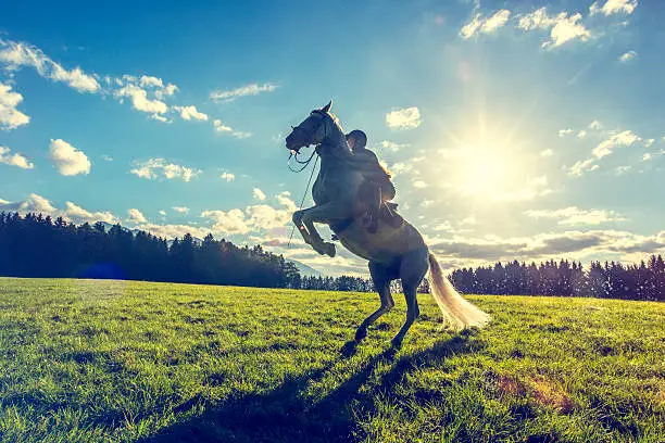 Woman with her horse on a meadow in the nature. Forest, blue sky and sun in the background.