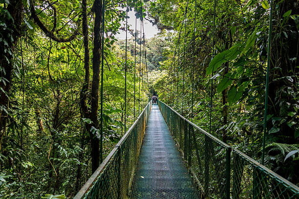 istock Hanging Bridges in Cloudforest - Costa Rica 511676732