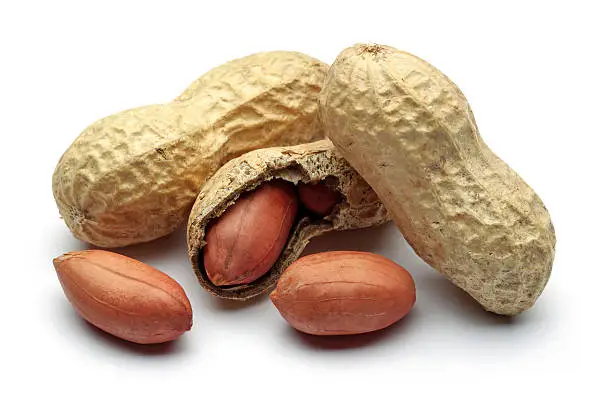 Peanuts isolated on a white background.