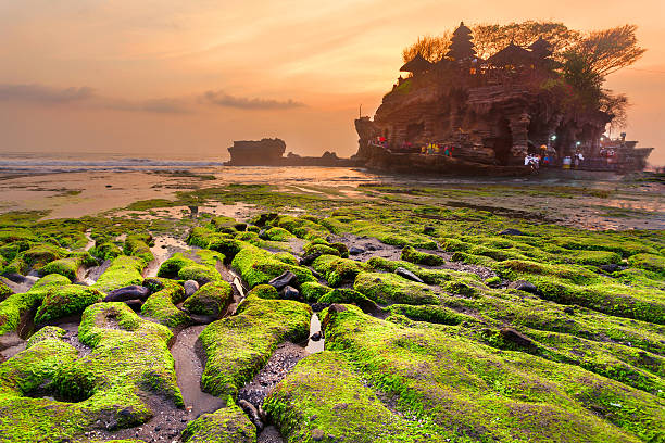 Colorful Tanah Lot Temple Tanah Lot Temple at sunset light and low tide. Tabanan area, Bali, Indonesia tanah lot sunset stock pictures, royalty-free photos & images