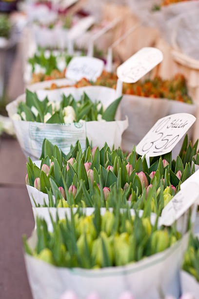istock Flowert on a street market 511706973