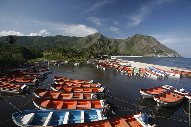 The boat harbor next to the beach and the beautiful landscape in Chuao on the Caribbean in Venezuela in South America.