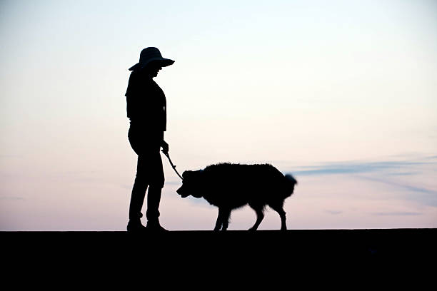 Mature hispanic woman and collie silhouette at sunset