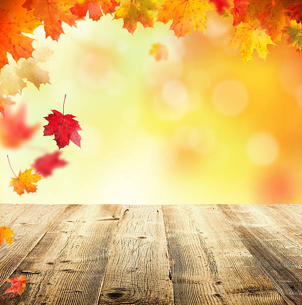istock Autumn background with empty wooden planks 511710071