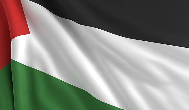 istock Flag of Palestine 511710835