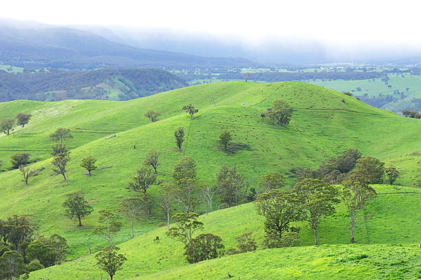 istock Countryside in the Blue Mountains 511711533