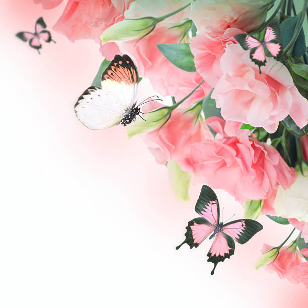 istock Bouquet of pink roses 511711543
